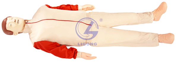 高級全自動(dòng)電腦心肺復蘇模擬人